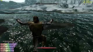 Skyrim speedrun to kill the ebony warrior 11:47