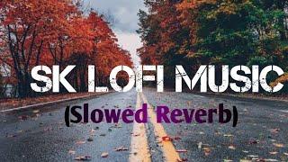 Roi Na Jo Yaad Meri Aayi Ve (Slowed + Reverb Lofi song |