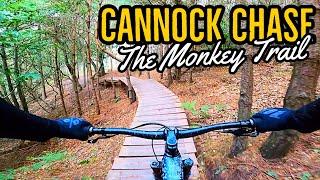 Riding The Monkey Trail, Cannock Chase