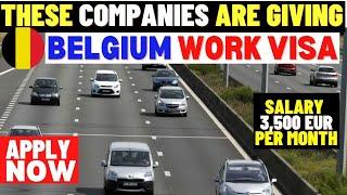 Come To Belgium Now! This Company Is Giving Work And Visas To Everyone: Apply Before Dateline