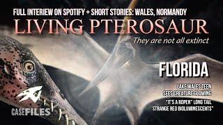 LIVING PTEROSAUR | Bioluminescence in Florida, Ropen Case Files, Pterodactyls