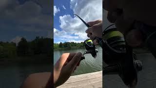 #микроджиг #рыбалка #fishing #рыбалканаозере #ультролайт