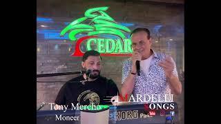 Tony Mercho Mardelli Songs Orginal #mardelli_songs #mardin #arabmardin #mardelli  #song