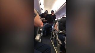 Video shows a passenger forcibly dragged off a United Airlines plane