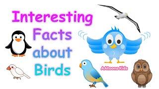 The Most Interesting Facts About Birds | 20 facts about birds | Fun Facts for Kids | @AAtoonsKids