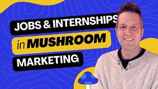 Contractor Job Openings: Marketing Mushrooms for a Better World with NourishCap.com