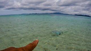 Ang lalaki ng mga isda nagpatabi, mukang mga gutom galing sa bagyo.