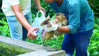 Yat and me help applying medical to Sheba at pool she looks better but we help to do again 