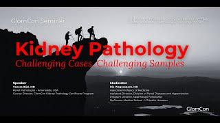 Kidney Pathology: Challenging Cases, Challenging Samples