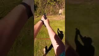 IPSC • PRPSA Rookie Circuit #shorts #practicalshooting #handgun #ipsc #competition #pointofview
