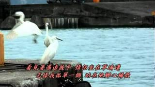 台語老歌 思念故鄉的情人 黃三元 演唱