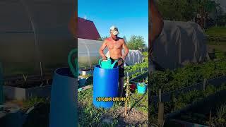 кайфую от деревенской жизни  бросай пить 🫵алкоголь  у тебя тоже получится, только поверь в себя 