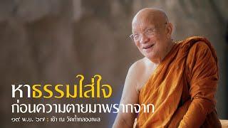 หาธรรมใส่ใจ ก่อนความตายมาพรากจาก : 19 พ.ย. 67 เช้า ณ วัดถ้ำกลองเพล | หลวงพ่ออินทร์ถวาย สันตุสสโก