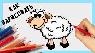 Рисуем милого ОВЕЧКА. How to draw a Sheep, просто рисуем, Урок рисования для детей.