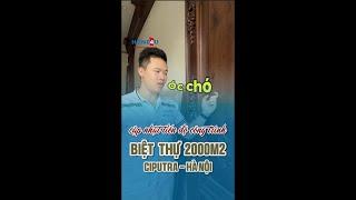 Cập nhật tiến độ công trình cải tạo nội thất biệt thự Ciputra