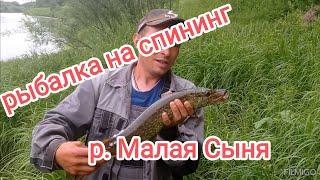 рыбалка на р. Малая Сыня