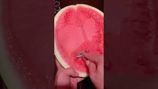 极度舒适 夏天怎么少得了西瓜