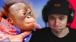 TRY NOT TO LAUGH #1 - MythyMoo Reacts