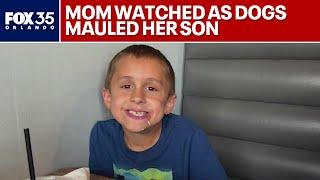 Mother of boy killed by dogs says she'll never forget the image of her son being mauled