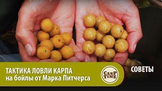 ТАКТИКА ЛОВЛИ КАРПА на бойлы от Марка Питчерса  СОВЕТЫ