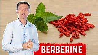 The Amazing Benefits of Berberine