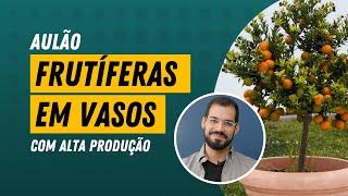 FRUTÍFERAS EM VASOS: Espécies, plantio, adubação, poda