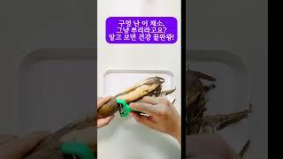 구멍 난 이 채소, 그냥 뿌리라고요? 알고 보면 건강 끝판왕! #연근 #건강채소
