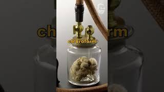 Introduction of Ether as an inhalational anesthesia around 1845-1860 | Surgery Simplified | #shorts