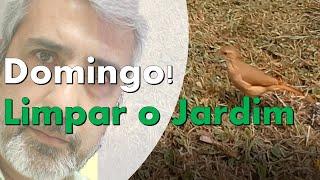 Limpeza de jardim com cortador de grama