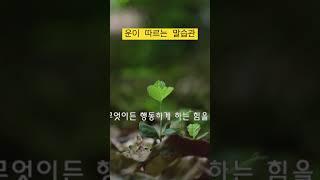 #shorts#운이따르는말습관#피그말리온효과#좋은목소리아이즈