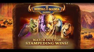 Buffalo Mania By Red Tiger #slotgame #slotonline #slotmachine #slots #gamingcommunity