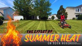 Dealing with heat in lawn care