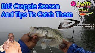 Fall to Winter Crappie Fishing - Tips To Catch Crappie