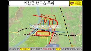 충청남도 예산군 예산군 삽교읍 두리 토지 수도권 땅 투자 부동산 개발 분석