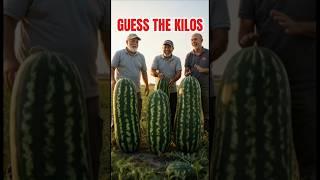 Guess the Kilograms of These 4 Watermelons