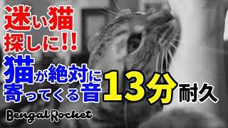 【迷い猫に!!】100万回再生突破 猫が絶対に寄って来る音13分耐久 【ベンガルロケット】