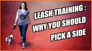 Why You Should Walk on One Side - Leash Training a Dog