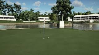 PGA Tour 2K21 Hole in One on hole 17 at TPC Sawgrass (East Coast Classic)