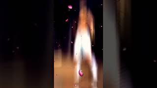 FREE FIRE FUNNY VIDOS ( RITESH BOT FF) para SAMSUNG A3,A5,A6,A7,J2,J5,J7,S5,S6,S7,S9,A10,A20,A30,A5