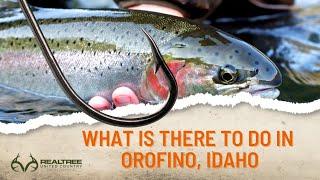 What is there to do in Orofino Idaho/summer