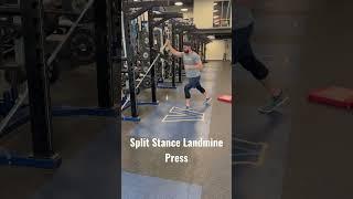 Split Stance Landmine Press #fitness #shorts #workout #hiit #freefire #speed #sports #exercise #new