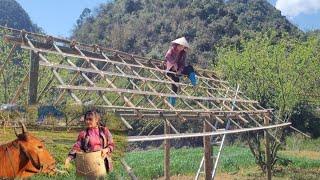 Ly Pana Builds a New House Out of Bamboo. The Extraordinary Orphaned Daughter