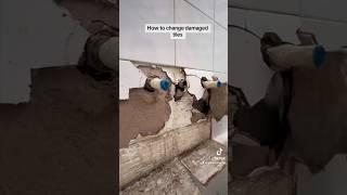 How to replace wall tiles #diy #tips #fyp #vivia alvideo a