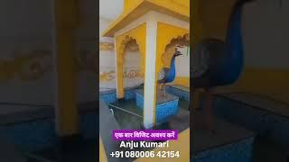 #jdaapprovedplotsinjaipur #jagatpura sitapura industrial area ke pass luxury colony me plot regist.f