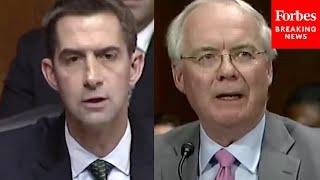 Tom Cotton Grills CEO Over Firings Of Employees Who Refused To Wear 'Gay Pride' Symbol