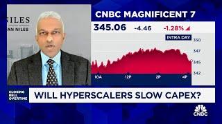 Spending slowdown in capex will be 'big problem' for Mag 7, says Dan Niles