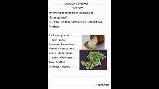 Mnemonic to remember examples of “Ascomycetes” #mnemonics#shorts#viral#trending#education#botany