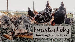 Another Weekend On The homestead Vlog | Finishing the Duck Coop