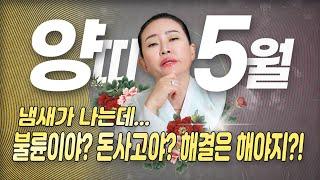 2025년 5월 양띠운세 복삼재라고 방심하다 큰코다친다! 지금이 가장 조심해야할 때!