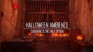 Trapped in Abandoned Prison Cell: Survive the Night or Face the Unknown | Halloween Horror Ambience